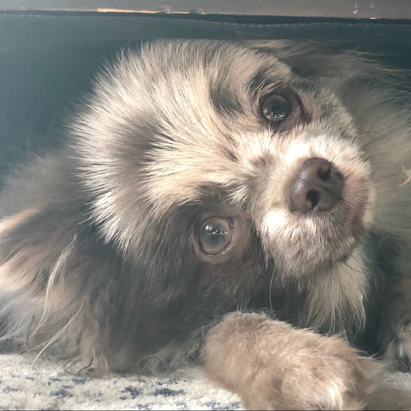 💋💋💋 - Picture 5 of 6